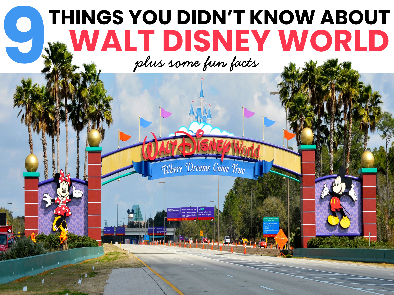 things you didn't know about disney world