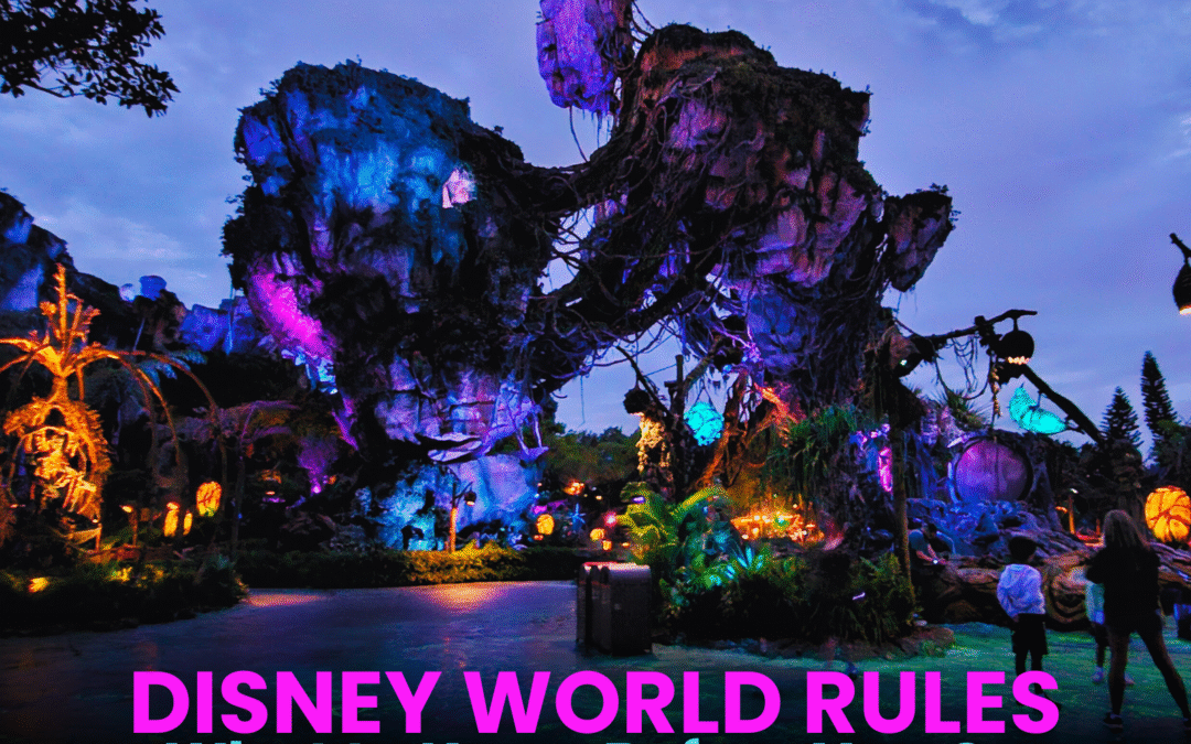 Know Before You Go: Walt Disney World Rules
