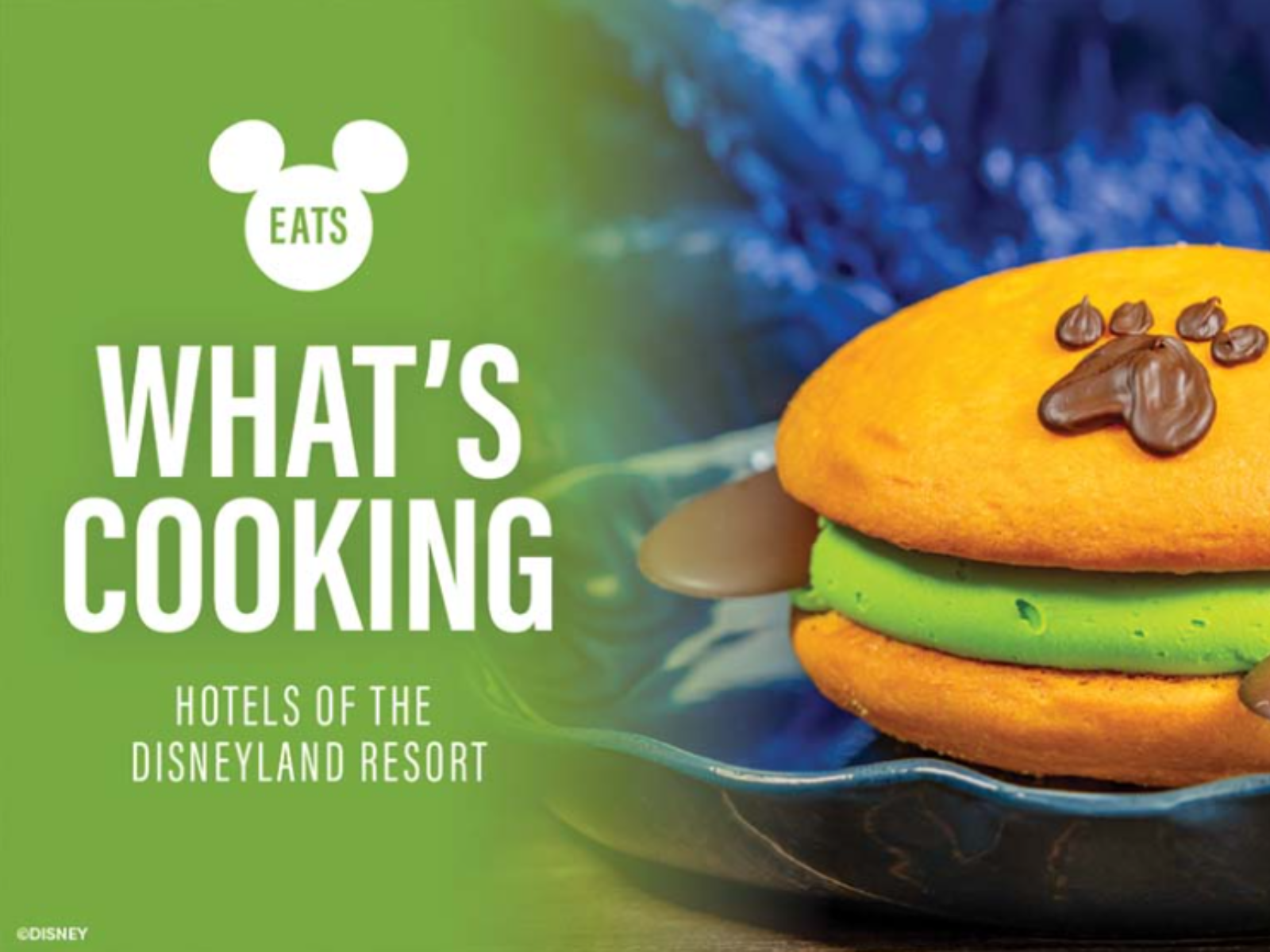 disneyland hotels disneyland hotels