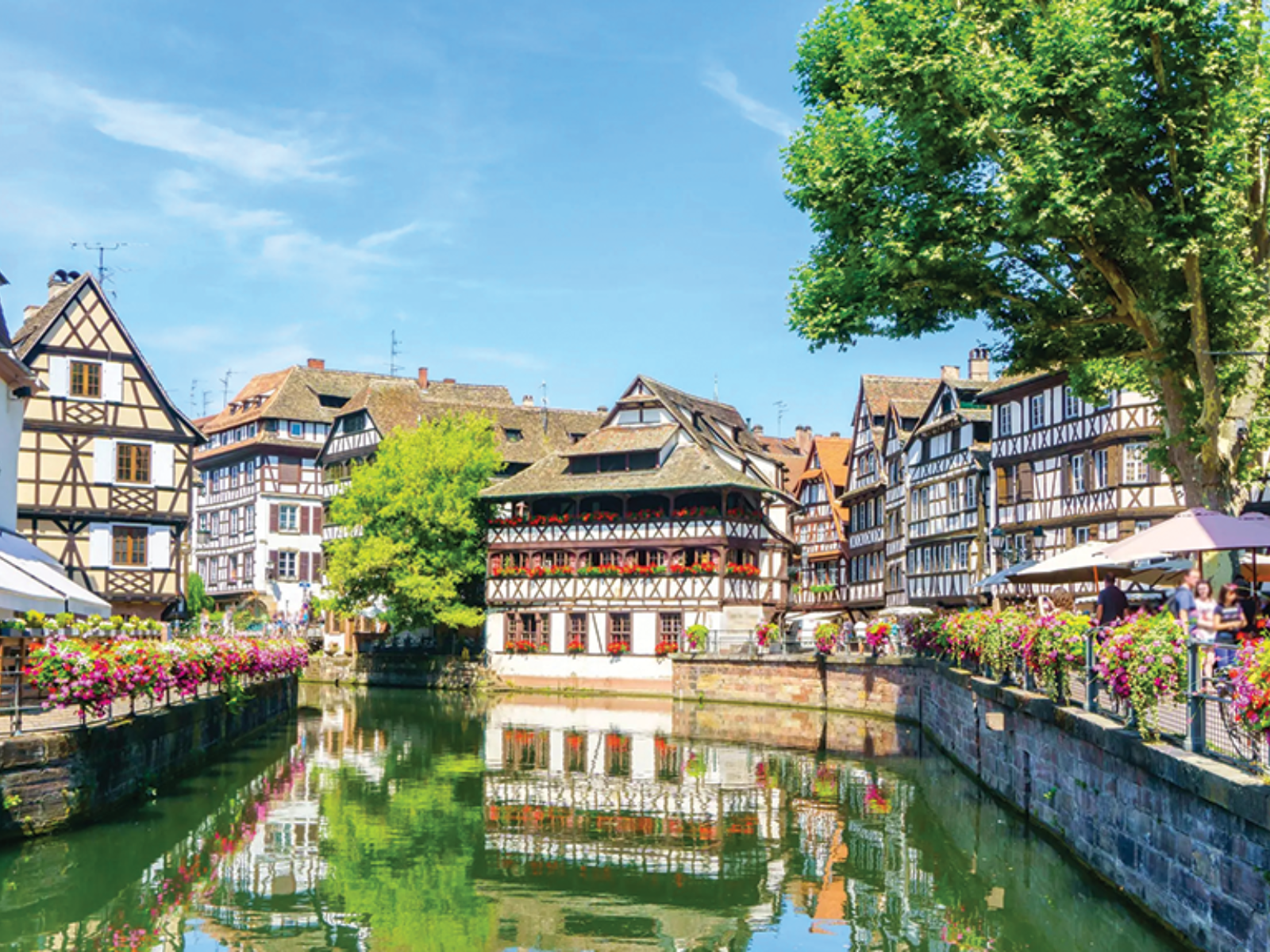 disney news weekly 6-10-25 disney news weekly 6-10-25