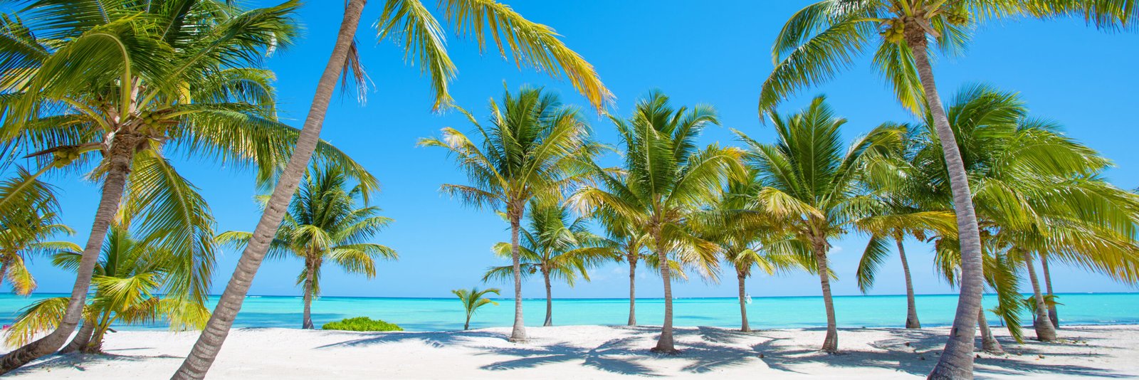 Disney's Vero Beach Resort